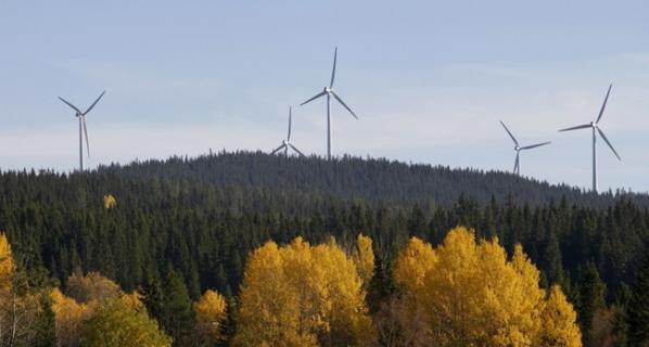 vindkraftverk i höstskog